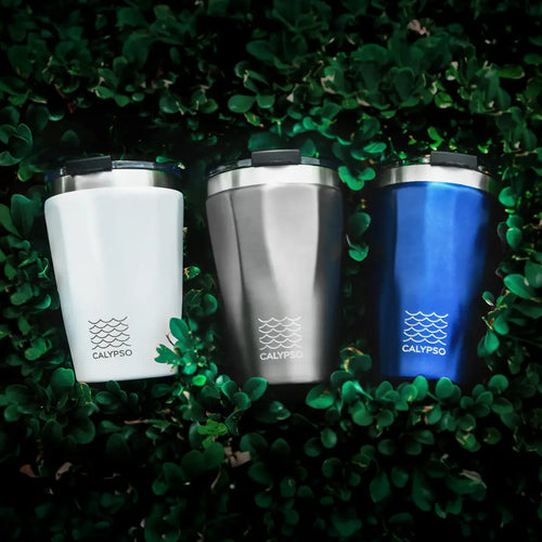 Calypso Thermal Travel Mug (330ml)