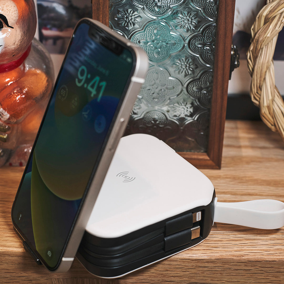 GadgetHedz ZapCharger
