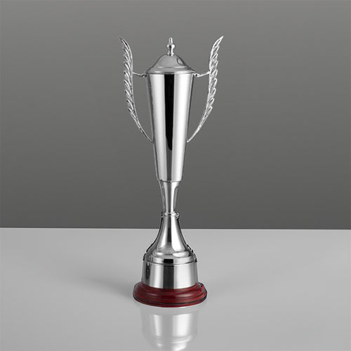 Victory Trophy