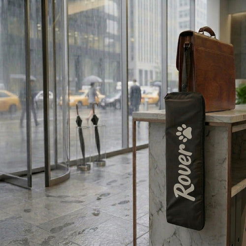 Folded Umbrella Drying Bag