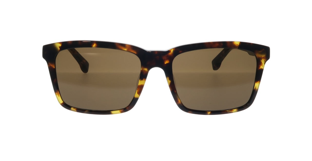 BIG HORN Compact Square Sunglasses