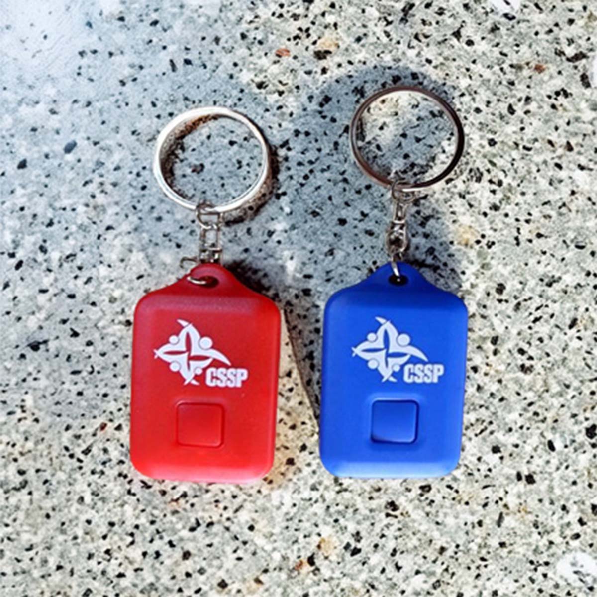 Solar Powered Keychain Light
