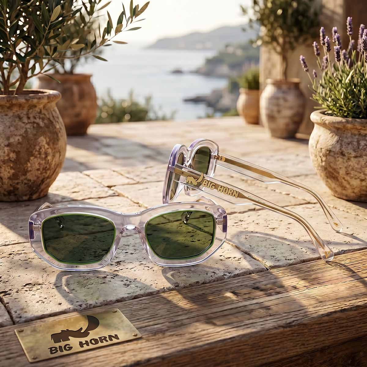 BIG HORN Transparent Frame Sunglasses