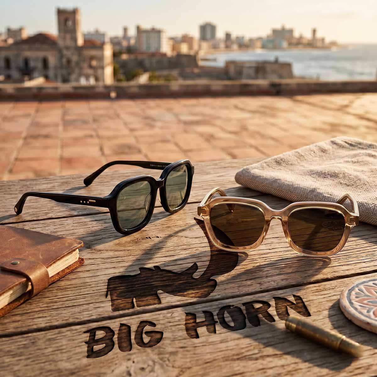 BIG HORN Classic Wayfarer Sunglasses