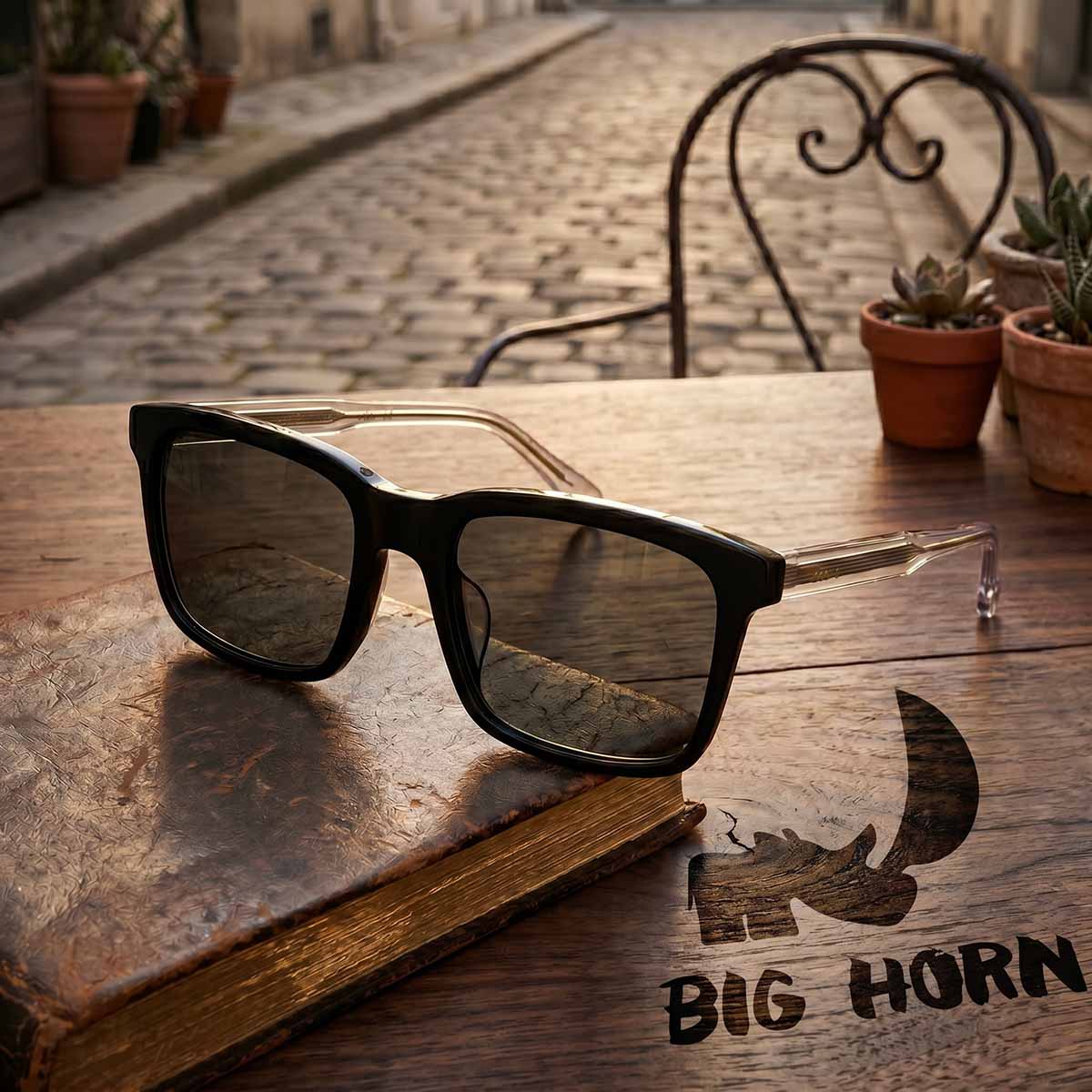 BIG HORN Compact Square Sunglasses