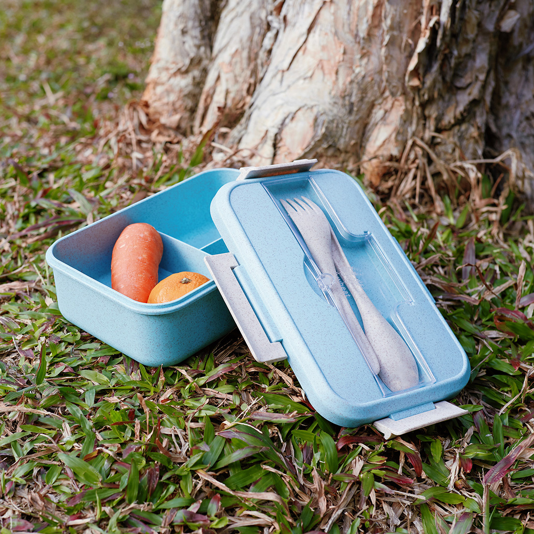 Natura Compact Lunch Box