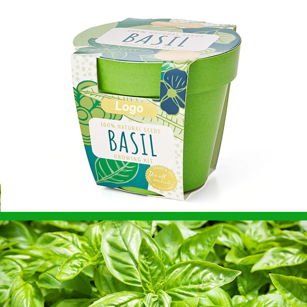 GrowIT - Plant in a pot - Basil