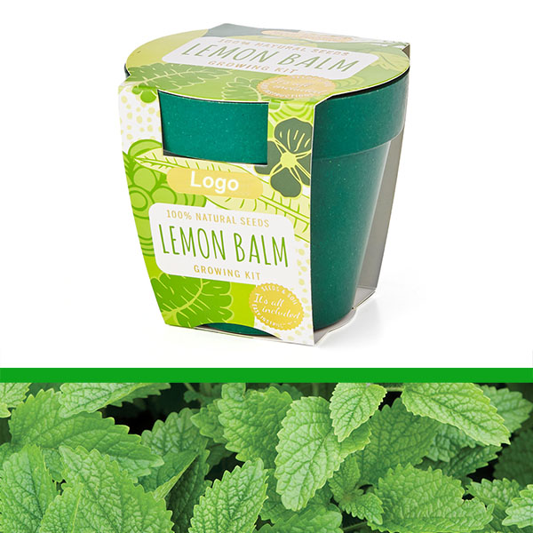 GrowIT - Plant in a pot - Lemon Balm  (PG0842b)