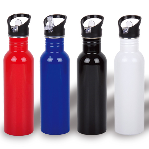 Stainless Steel Sports Bottle