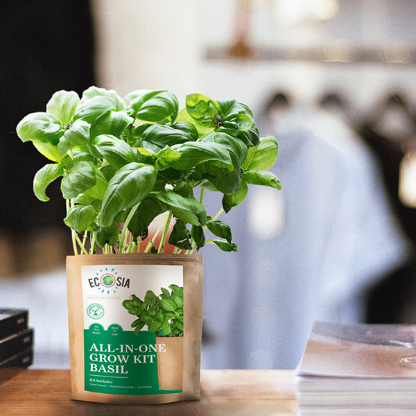 Promotional Plants