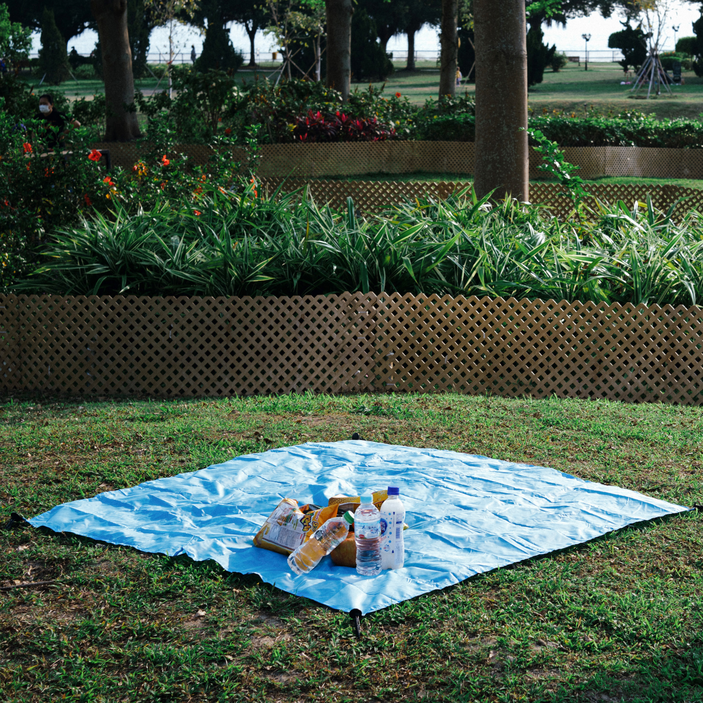 Picnic Mat