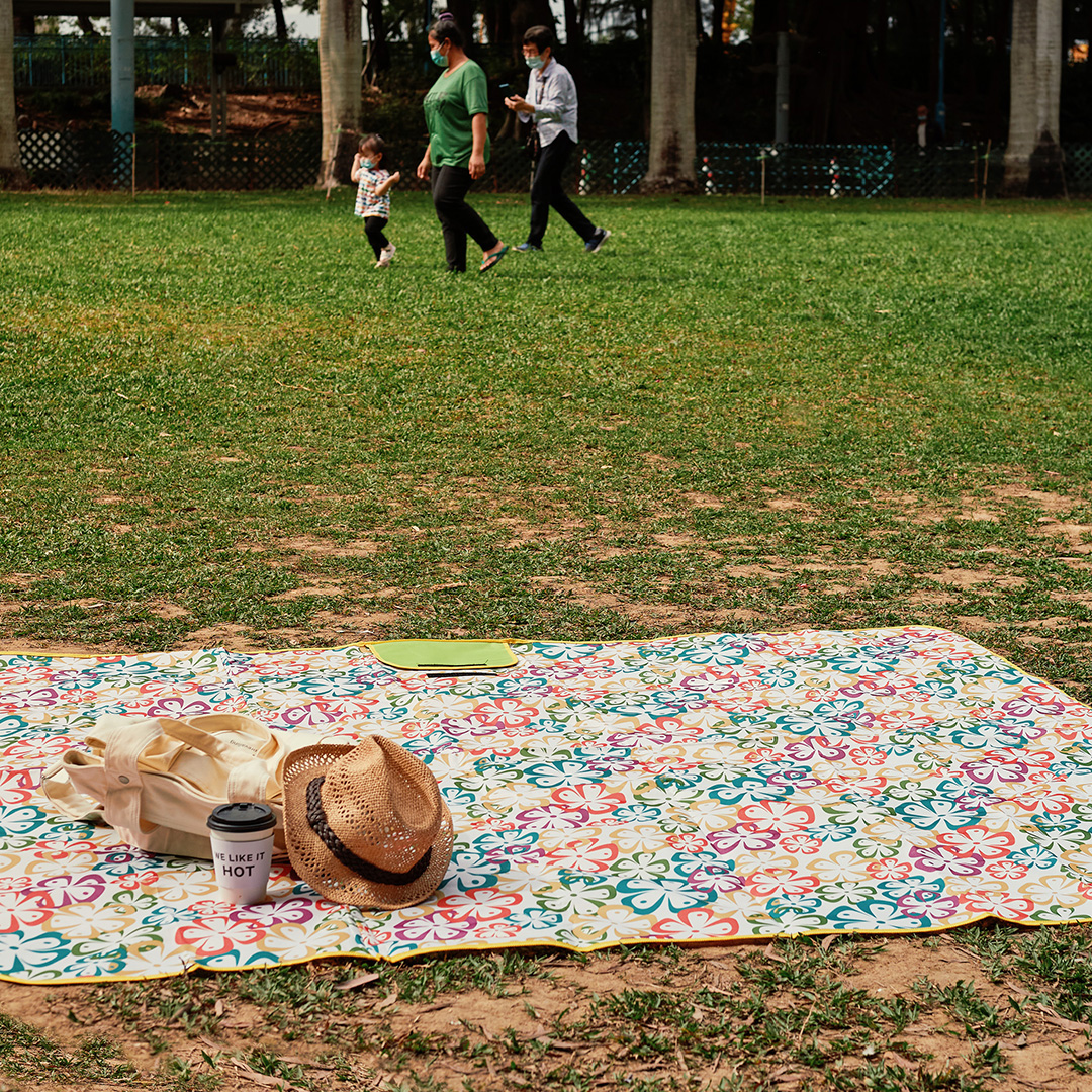 Picnic Mat